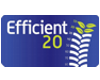 Efficient 20